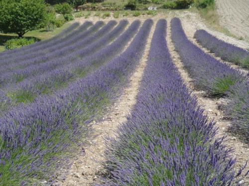 Gîte Le Bouquet