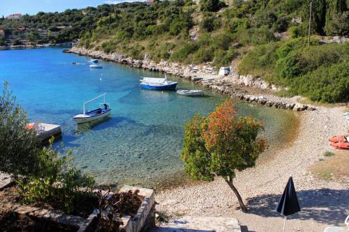 Apartments by the sea Cove Stratincica Korcula - 9264 - image 8