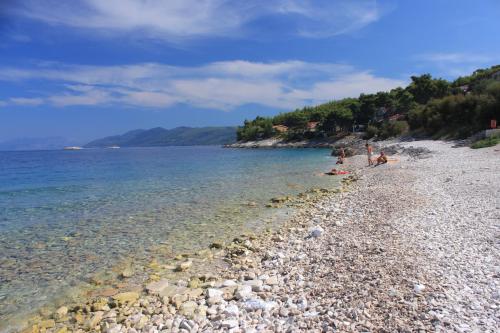 Apartments by the sea Prigradica, Korcula - 9140