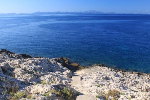  Apartments by the sea Zavalatica, Korcula - 9274 in Zavalatica