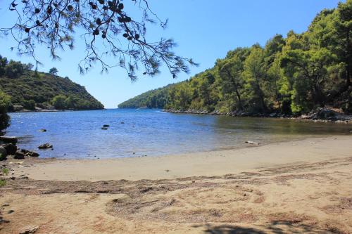 Apartments by the sea Brna Korcula - 10065 - image 12