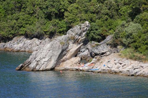 Seaside holiday house Cove Vela Prapratna (Peljesac) - 9486 - image 11