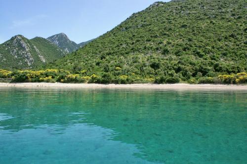 Apartments with a parking space Duba Peljeska Peljesac - 10229 - main image