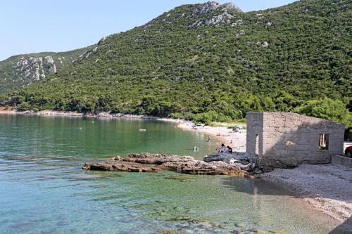 Apartments with a parking space Duba Peljeska Peljesac - 10229 - image 3