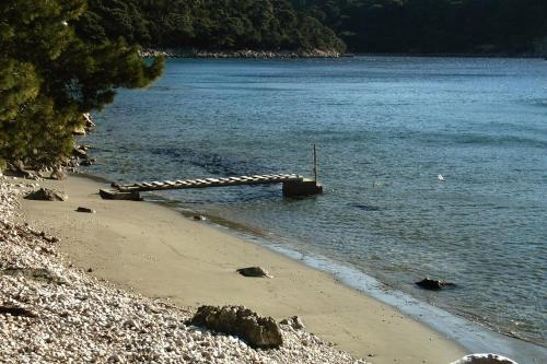  Apartments by the sea Cove Saplunara, Mljet - 4906 in Saplunara