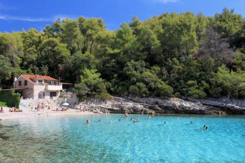 Family friendly house with a swimming pool Zavalatica Korcula - 9476 - image 14