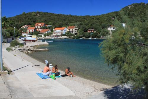  Apartments by the sea Zrnovska Banja, Korcula - 11510 in Korčula