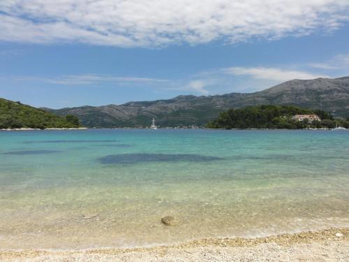 Apartments by the sea Zrnovska Banja Korcula - 11510 - image 5