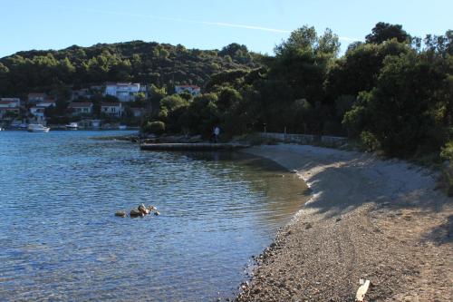 Apartments by the sea Zrnovska Banja Korcula - 13636 - image 13