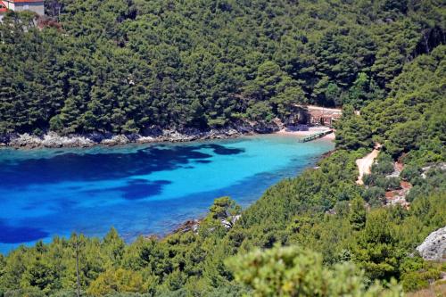 Apartments by the sea Luka Dubrava, Peljesac - 14187