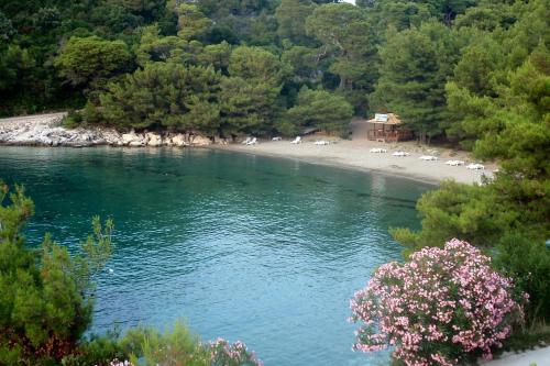 Apartments by the sea Cove Blaca, Mljet - 10416