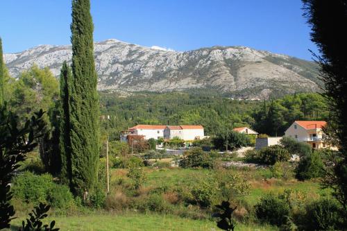Luxury villa with a swimming pool Zastolje Dubrovnik - 14922 - image 5