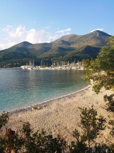 Apartments by the sea Slano Dubrovnik - 15787 - main image