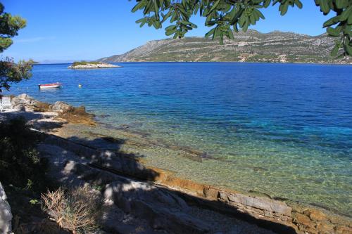Apartments by the sea Tri Zala Korcula - 556 - image 7