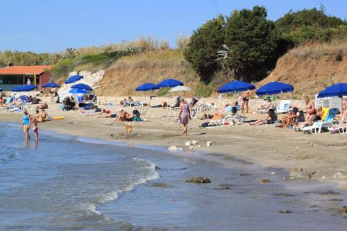 Apartments with a parking space Lumbarda Korcula - 4471 - image 4