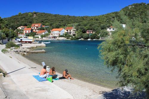 Apartments with a parking space Zrnovska Banja, Korcula - 4426