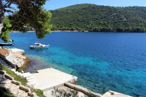 Seaside house with a swimming pool Pasadur, Lastovo - 15847