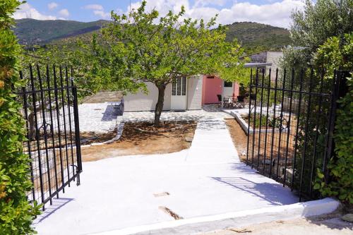 Figs & Grapes * Cosy small house * Marmari * South Evia