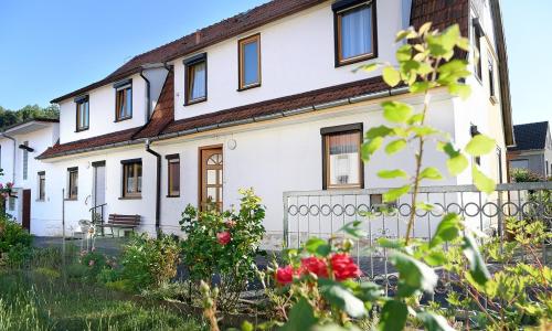 Ferienwohnung Bodenstein - Apartment - Bad Liebenstein