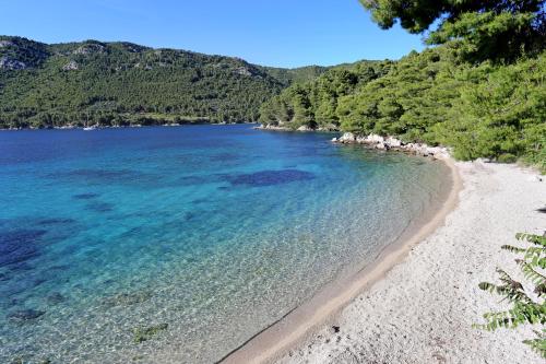 Apartments with a parking space Zuljana, Peljesac - 254