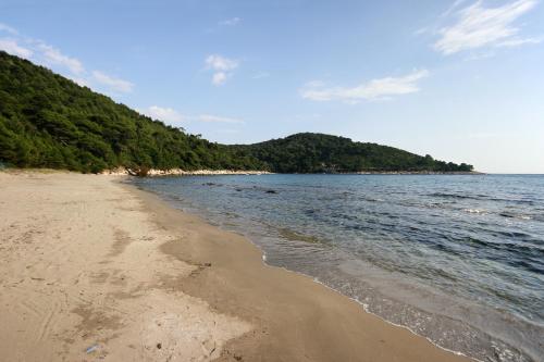 Apartments by the sea Cove Saplunara, Mljet - 4896