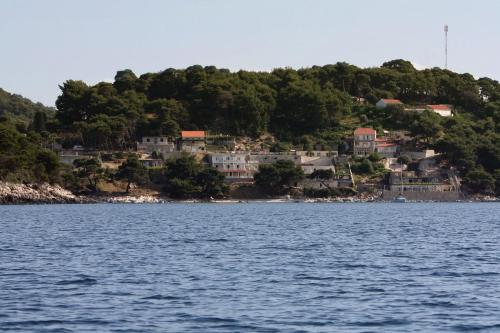 Apartments by the sea Cove Saplunara, Mljet - 4896