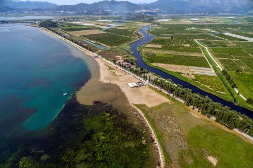 Holiday house with a swimming pool Opuzen Neretva Delta - Usce Neretve - 8818 - image 5