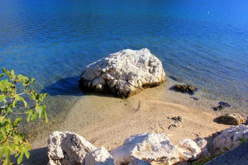 Apartments by the sea Slano Dubrovnik - 8741 - image 3