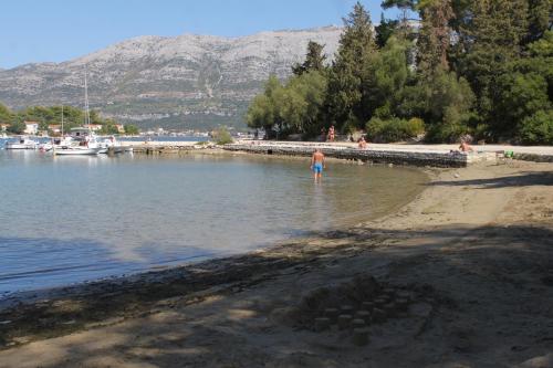Apartments with a parking space Korcula - 9306 - image 12
