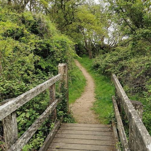 Заобикаляща среда, Rusty - Shepherds hut sleeps up to 4 in Sidlesham