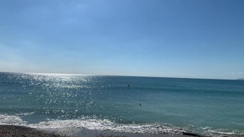 плаж, Rusty - Shepherds hut sleeps up to 4 in Sidlesham