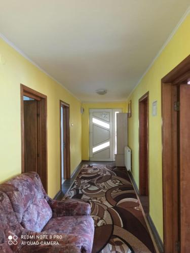 Empfangshalle, Vila Calix in Baile Govora