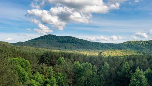 Black Bear Ridge