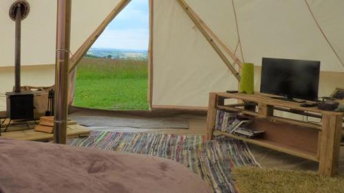 Ffos Wilkin Glamping & Alpacas