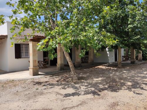Il Geco b&b 5