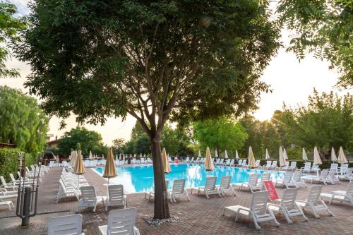 Holiday parks in Rome 