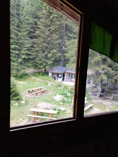 景觀, Хижа Ловна в Рила in 潘尼茨殊特