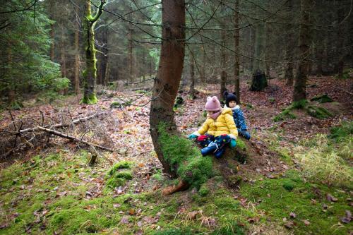 Amenity Hotel & Resort Orlické hory - main image