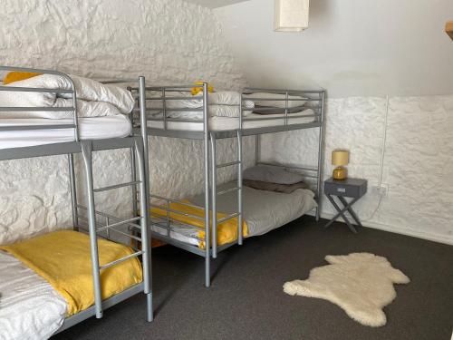 4-Bed Mixed Dormitory Room