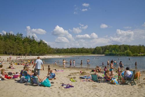 Surrounding environment, Vrijstaande bungalow bij het bos in het Vechtdal in Buurtschap Stegerveld