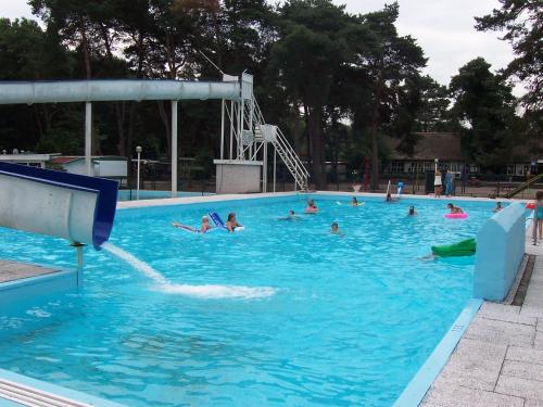 View, Vrijstaande bungalow bij het bos in het Vechtdal in Buurtschap Stegerveld