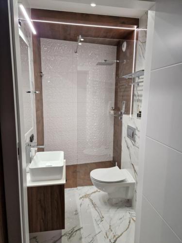 Brossa Apartments, 24h self check in, Klima, AirCond, Wrocław (photo 8)
