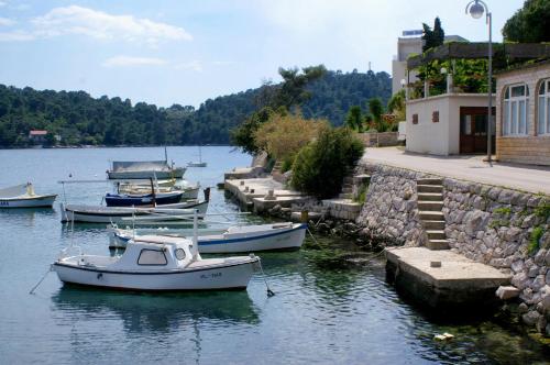 Apartments by the sea Brna, Korcula - 17583