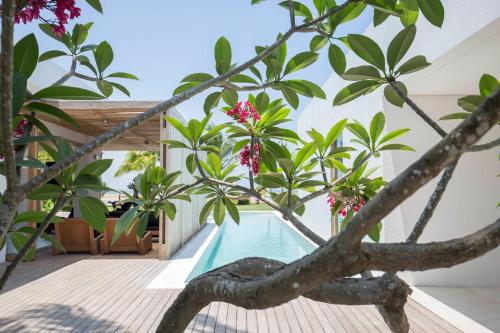 379762648 KA BRU Beach Boutique Hotel