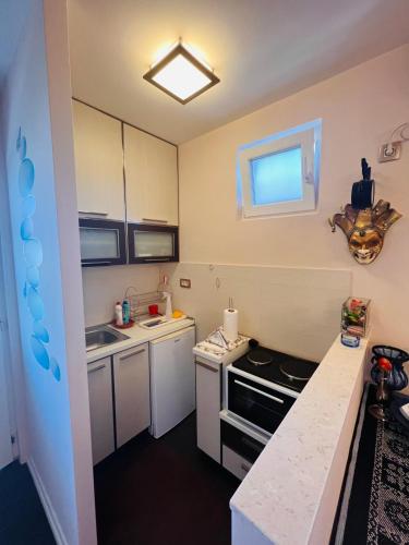 Studio Apartment 21 in Danilovgrad