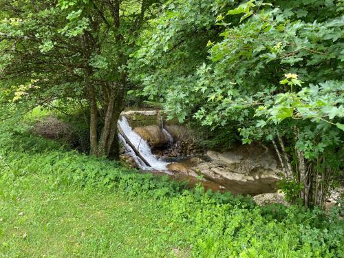 Studio avec foret, jardin et une cascade - Lac d'Annecy - Apartment - Saint-Jorioz