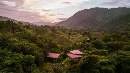 The Valley Tayrona Hostel -A unique nature experience