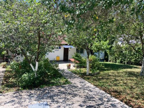 Mlinovi in ทรึนเย