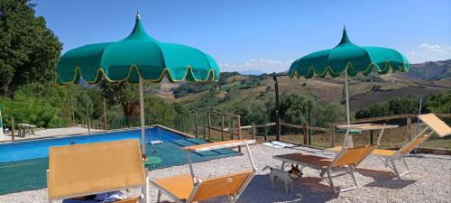  Tenuta del Falco in Montescudo