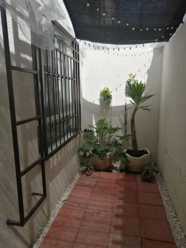 Casa del Caucaso in Xochitepec, Mexico